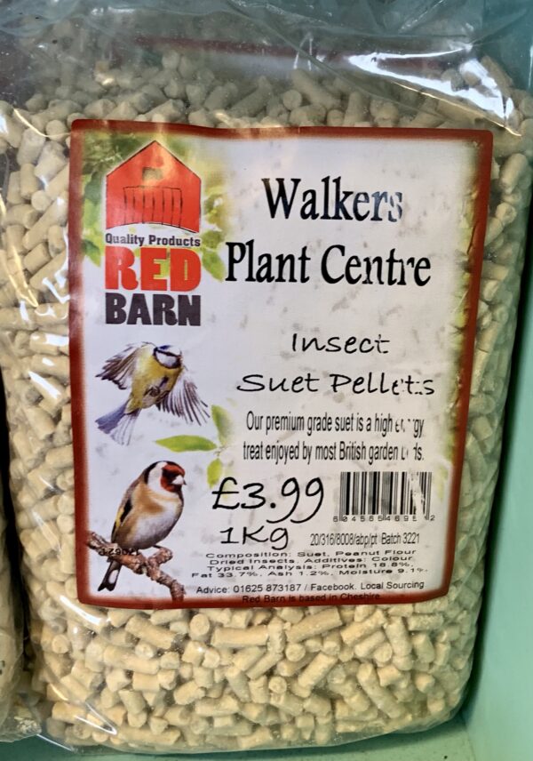 Insect Suet Pellets 1KG